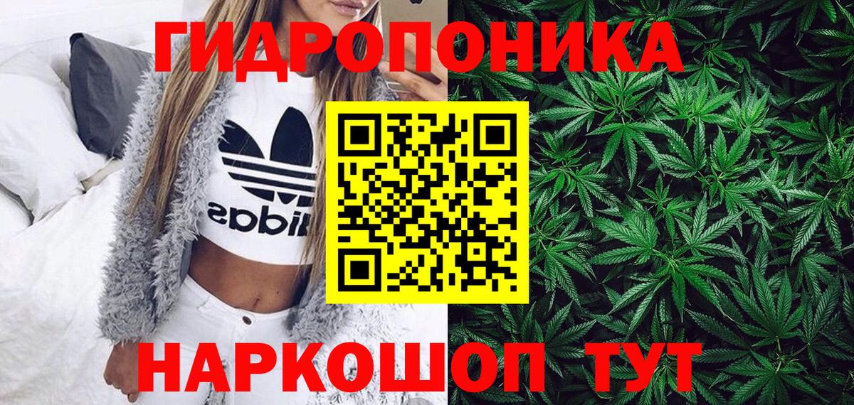 Каннабис индика Томск